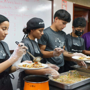 Proyectos de inserción laboral